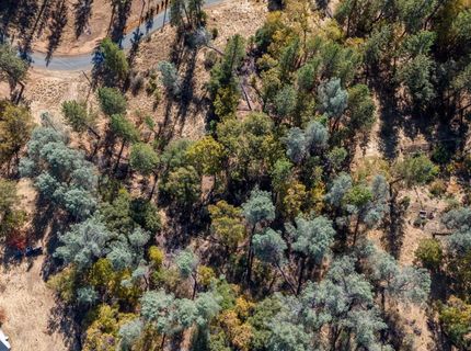 3551 Red Dog Dr, Camino, CA 95709 Photo