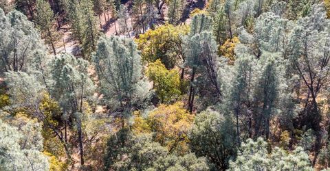 3551 Red Dog Dr, Camino, CA 95709 Photo