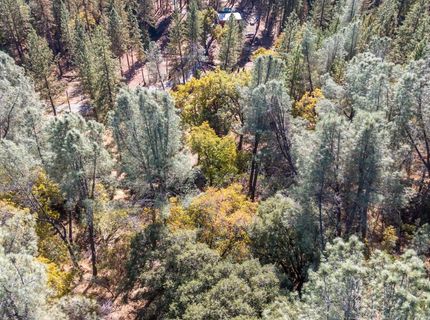 3551 Red Dog Dr, Camino, CA 95709 Photo