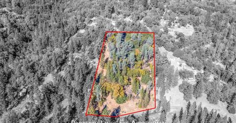 3551 Red Dog Dr, Camino, CA 95709 Photo