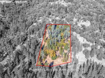 3551 Red Dog Dr, Camino, CA 95709 Photo