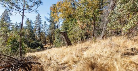 3551 Red Dog Dr, Camino, CA 95709 Photo