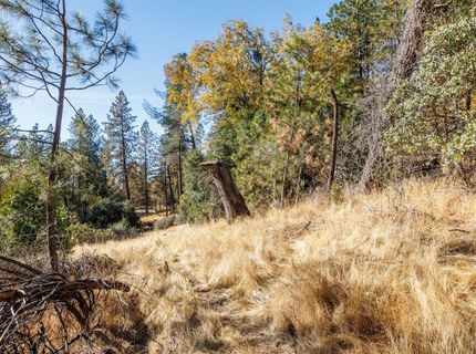 3551 Red Dog Dr, Camino, CA 95709 Photo