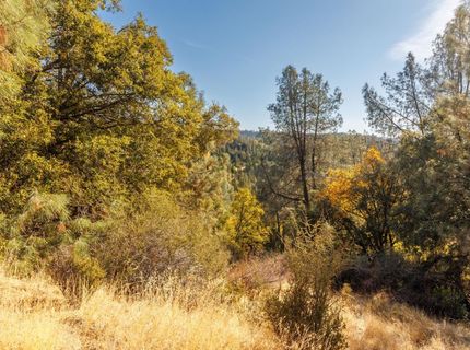 3551 Red Dog Dr, Camino, CA 95709 Photo