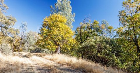 3551 Red Dog Dr, Camino, CA 95709 Photo