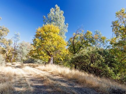 3551 Red Dog Dr, Camino, CA 95709 Photo