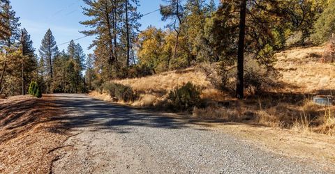 3551 Red Dog Dr, Camino, CA 95709 Photo