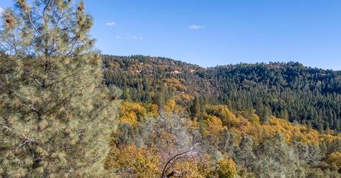 3551 Red Dog Dr, Camino, CA 95709 Photo