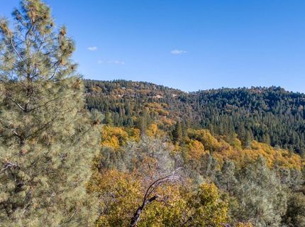 3551 Red Dog Dr, Camino, CA 95709 Photo