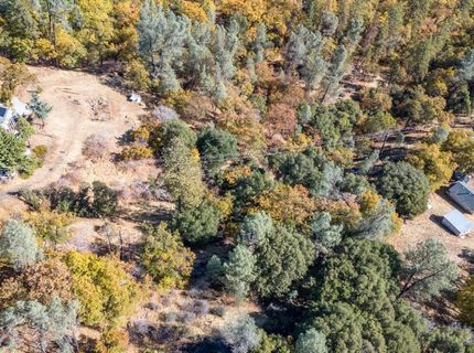 3551 Red Dog Dr, Camino, CA 95709 Photo