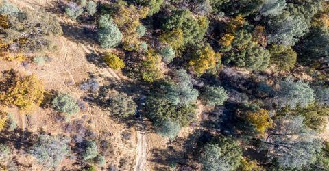 3551 Red Dog Dr, Camino, CA 95709 Photo