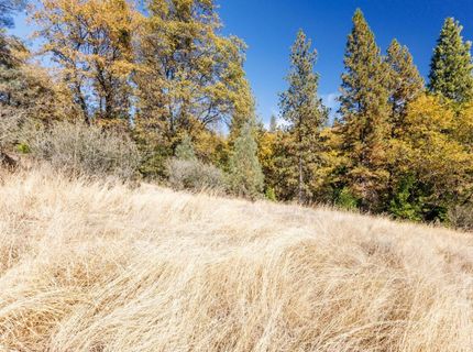 3609 Red Dog Dr, Camino, CA 95709 Photo