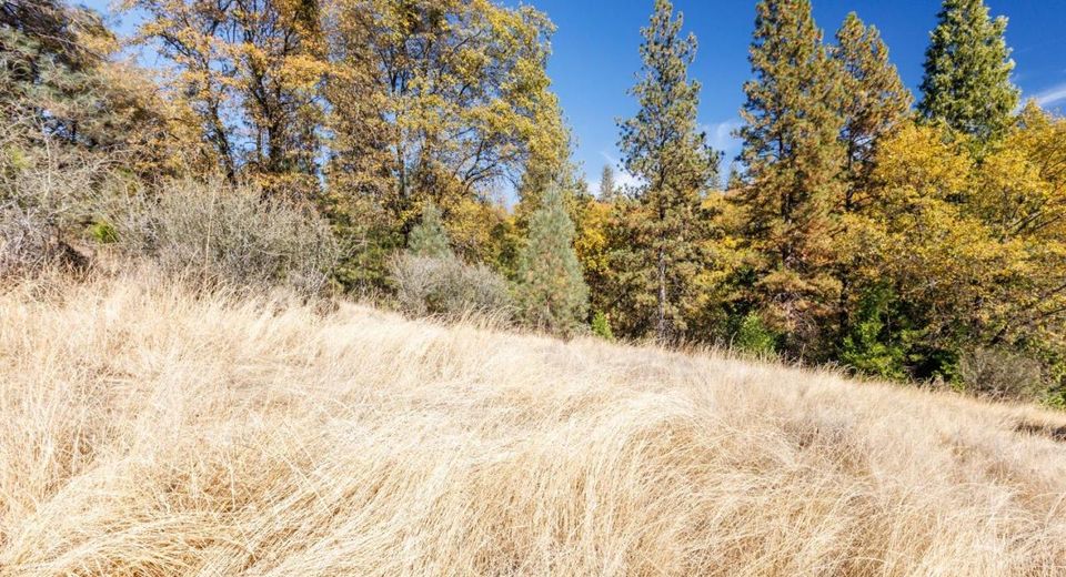 3609 Red Dog Dr, Camino, CA 95709 Photo