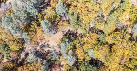 3609 Red Dog Dr, Camino, CA 95709 Photo