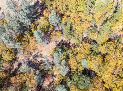 3609 Red Dog Dr, Camino, CA 95709 Photo