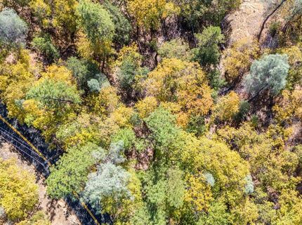 3609 Red Dog Dr, Camino, CA 95709 Photo