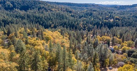 3609 Red Dog Dr, Camino, CA 95709 Photo