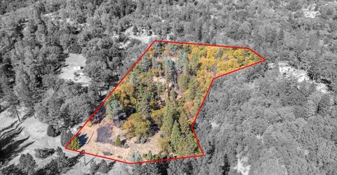 3609 Red Dog Dr, Camino, CA 95709 Photo