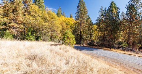 3609 Red Dog Dr, Camino, CA 95709 Photo