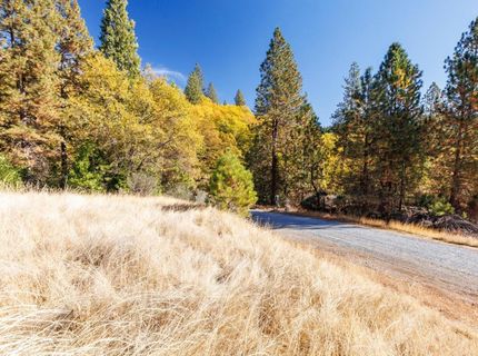 3609 Red Dog Dr, Camino, CA 95709 Photo