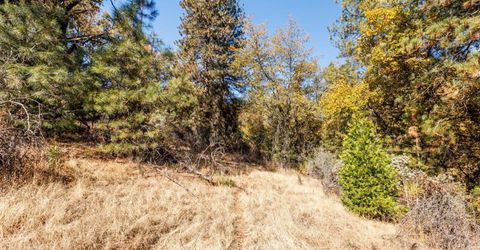 3609 Red Dog Dr, Camino, CA 95709 Photo