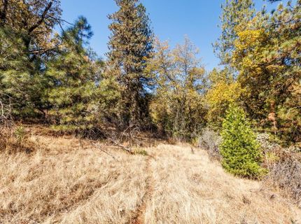 3609 Red Dog Dr, Camino, CA 95709 Photo