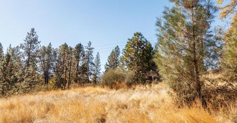 3609 Red Dog Dr, Camino, CA 95709 Photo