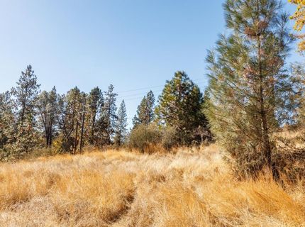 3609 Red Dog Dr, Camino, CA 95709 Photo