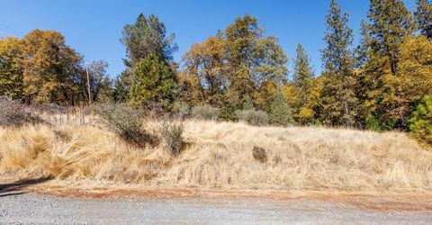 3609 Red Dog Dr, Camino, CA 95709 Photo