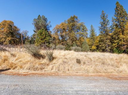 3609 Red Dog Dr, Camino, CA 95709 Photo