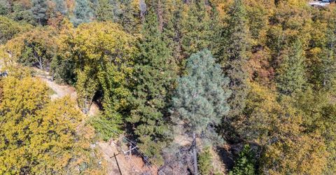 3609 Red Dog Dr, Camino, CA 95709 Photo