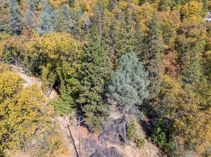 3609 Red Dog Dr, Camino, CA 95709 Photo