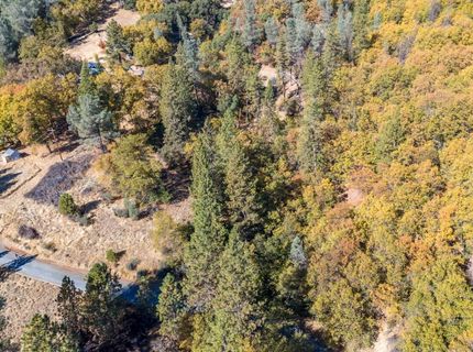 3609 Red Dog Dr, Camino, CA 95709 Photo