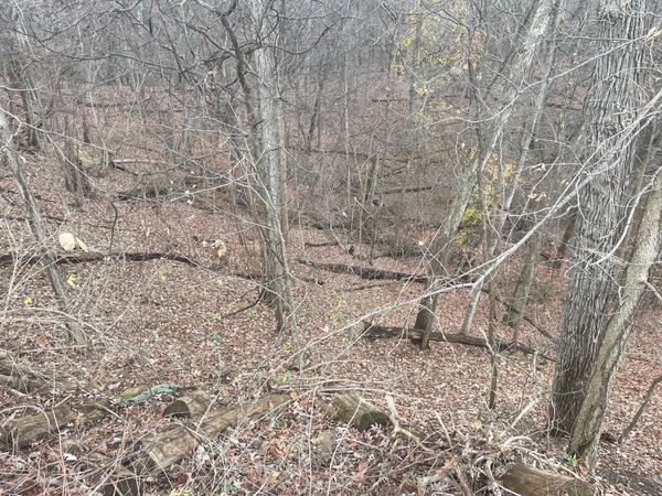 4750 Hunsberger Avenue NE, Grand Rapids, MI 49525