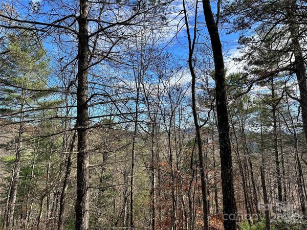 625 White Water Way, Marshall, NC 28753