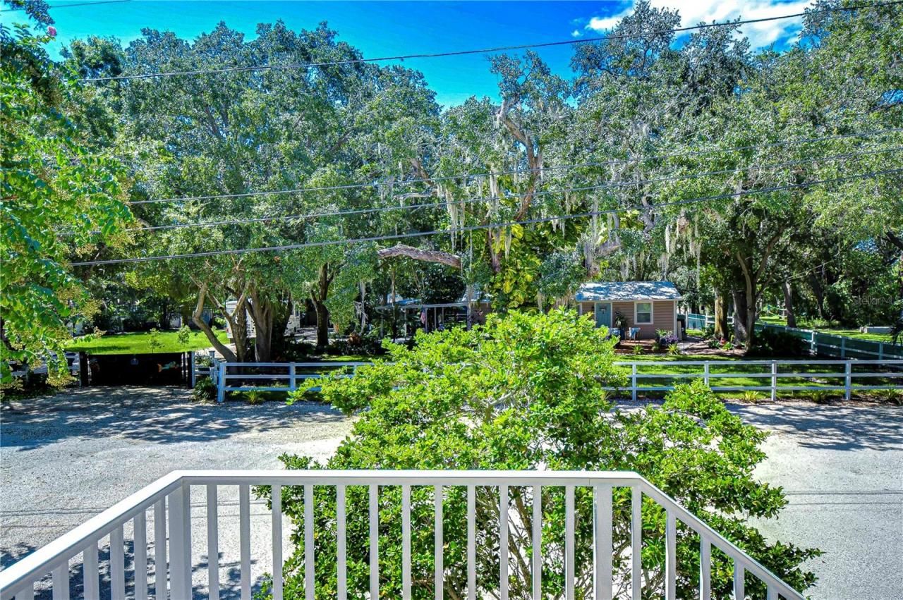 262 Banana Road, Palm Harbor, FL 34683 Photo