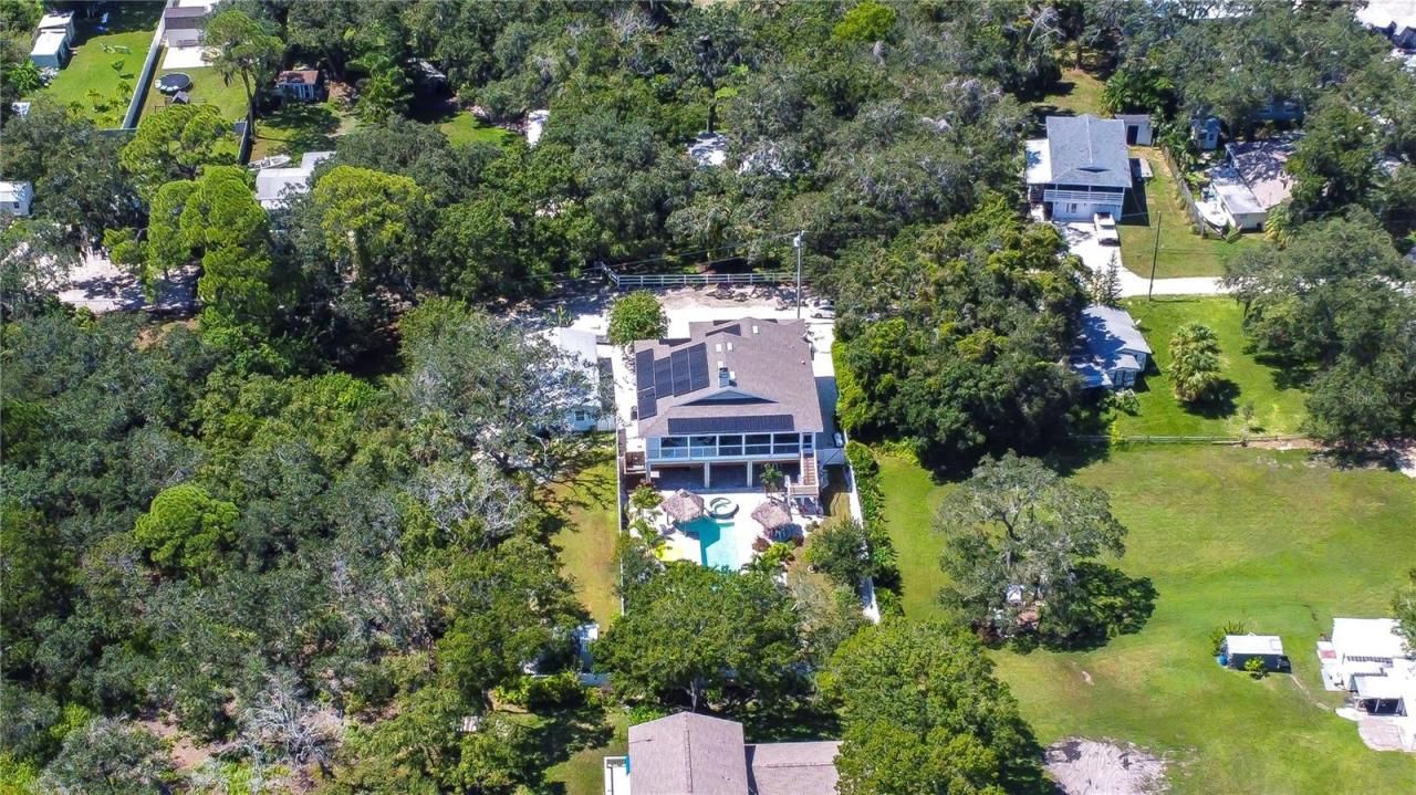 262 Banana Road, Palm Harbor, FL 34683 Photo