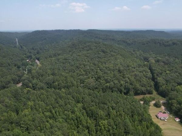 TURTLE HOLE Rd, Townley, AL 35587