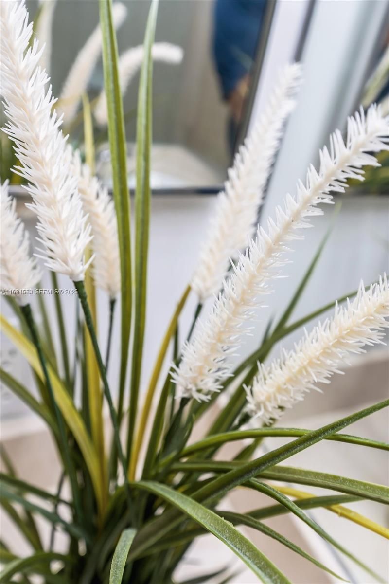 1750 N Bayshore Dr, Unit 5014, Miami, FL 33132 Photo