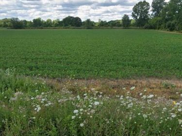 2.0 Acres Vacant Land Coon Creek Road, Armada Twp, MI 48005