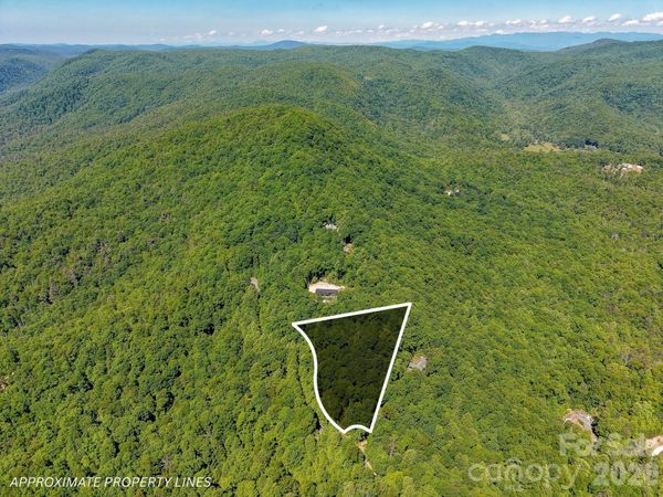 99999 Black Bear Ridge Trail, Zirconia, NC 28790