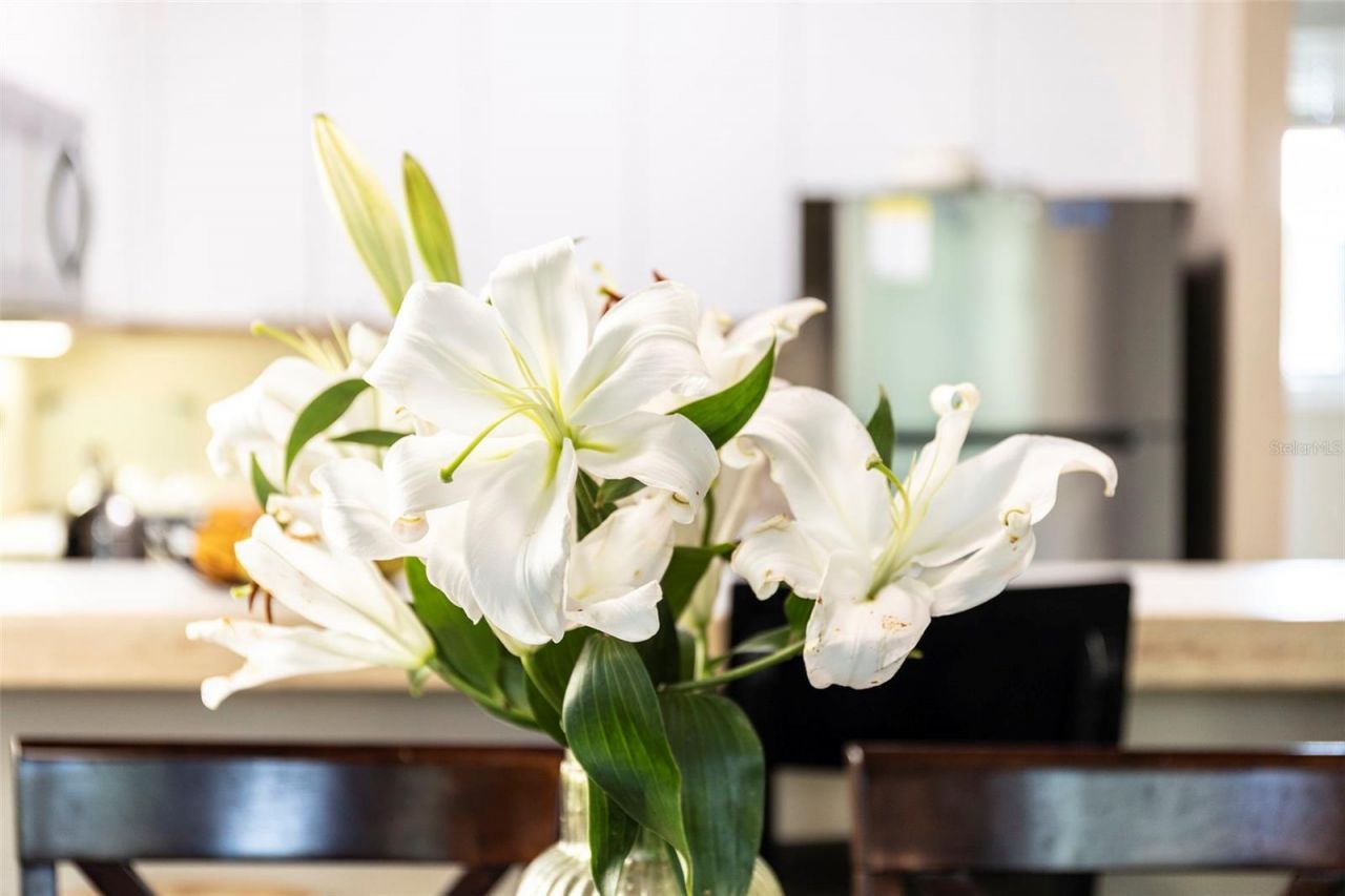 619 Cedars Court, Longboat Key, FL 34228 Photo