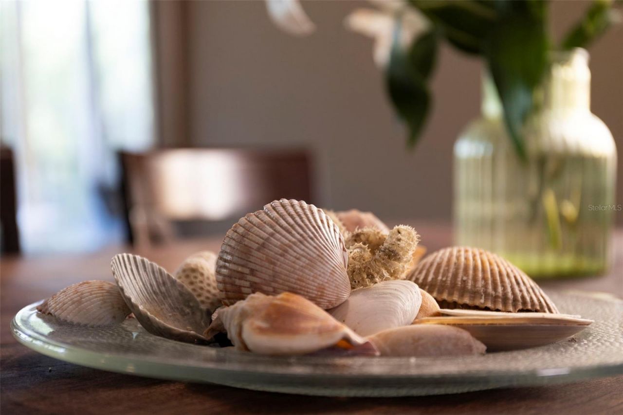 619 Cedars Court, Longboat Key, FL 34228 Photo