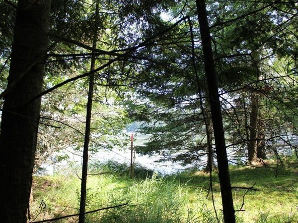 FOREST LANE, Pickerel, WI 54465