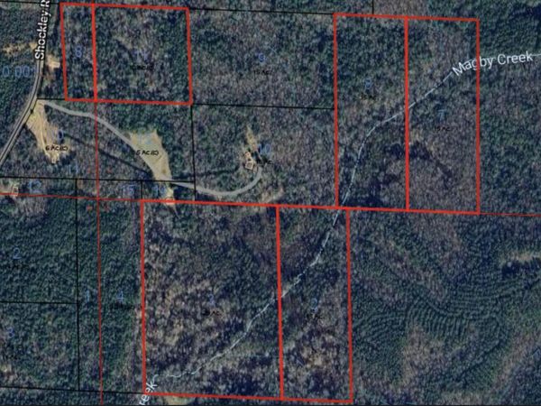 0 Shockley Rd, Millport, AL 35576