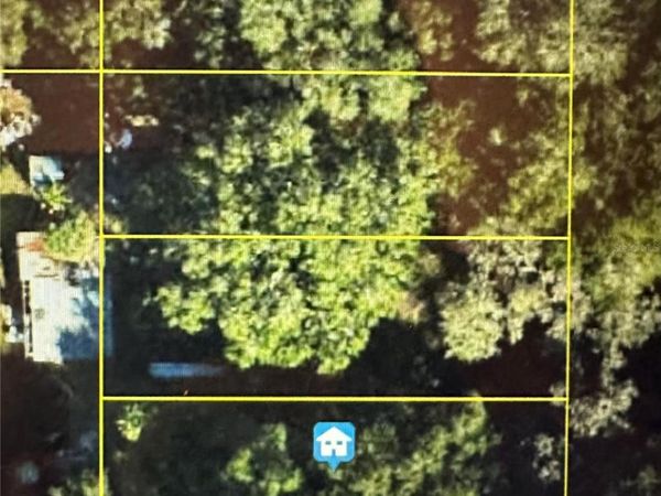 LOT #6, LAKE PANASOFFKEE, FL 33538