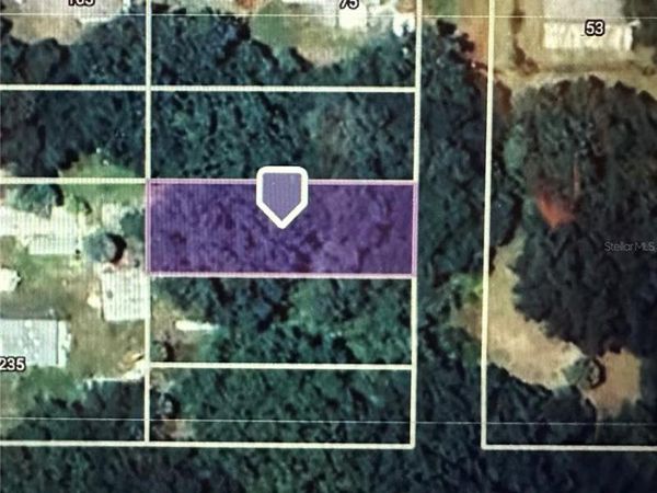 LOT #4, LAKE PANASOFFKEE, FL 33538