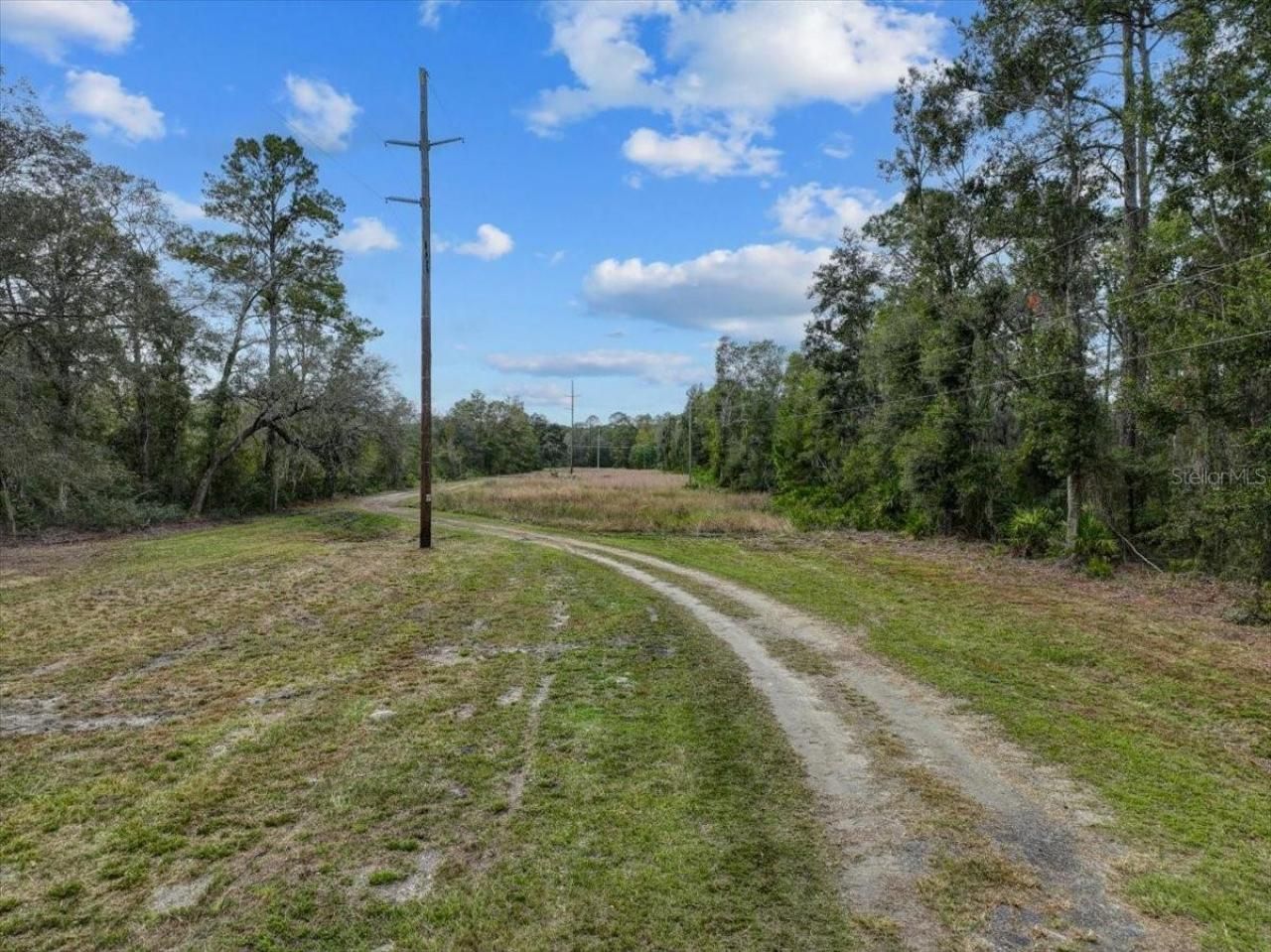 310 N Otter Creek Avenue, Bronson, FL 32621 Photo