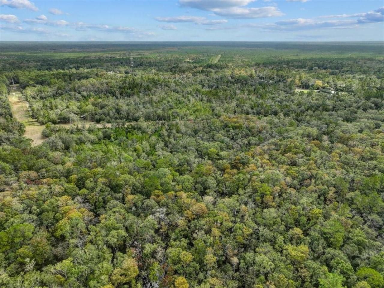 310 N Otter Creek Avenue, Bronson, FL 32621 Photo