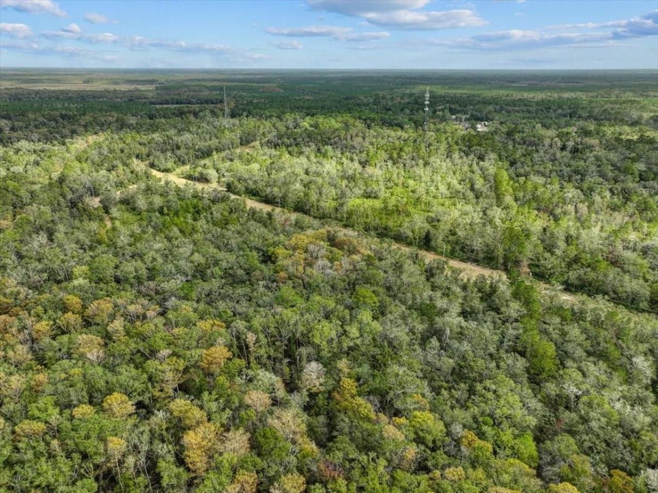 310 N Otter Creek Avenue, Bronson, FL 32621 Photo